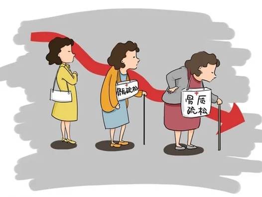 骨质疏松.webp